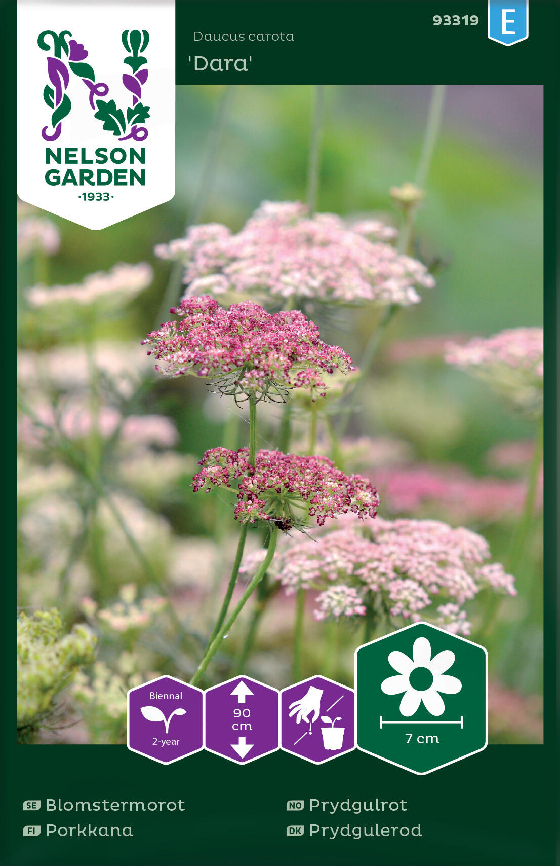 Prydnadsmorot 'Dara'